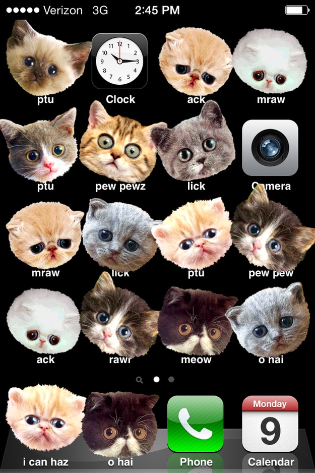 Cabeças de Gato