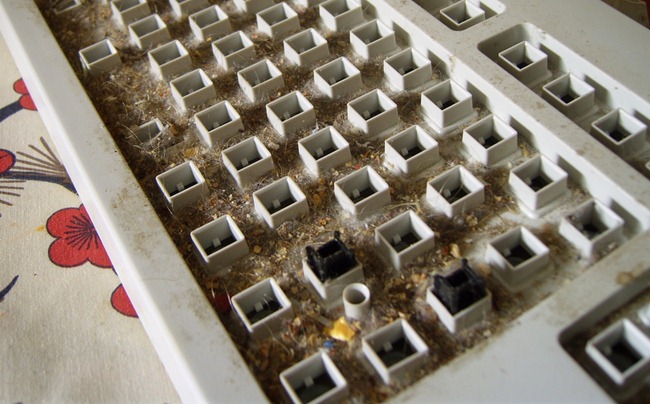 teclado
