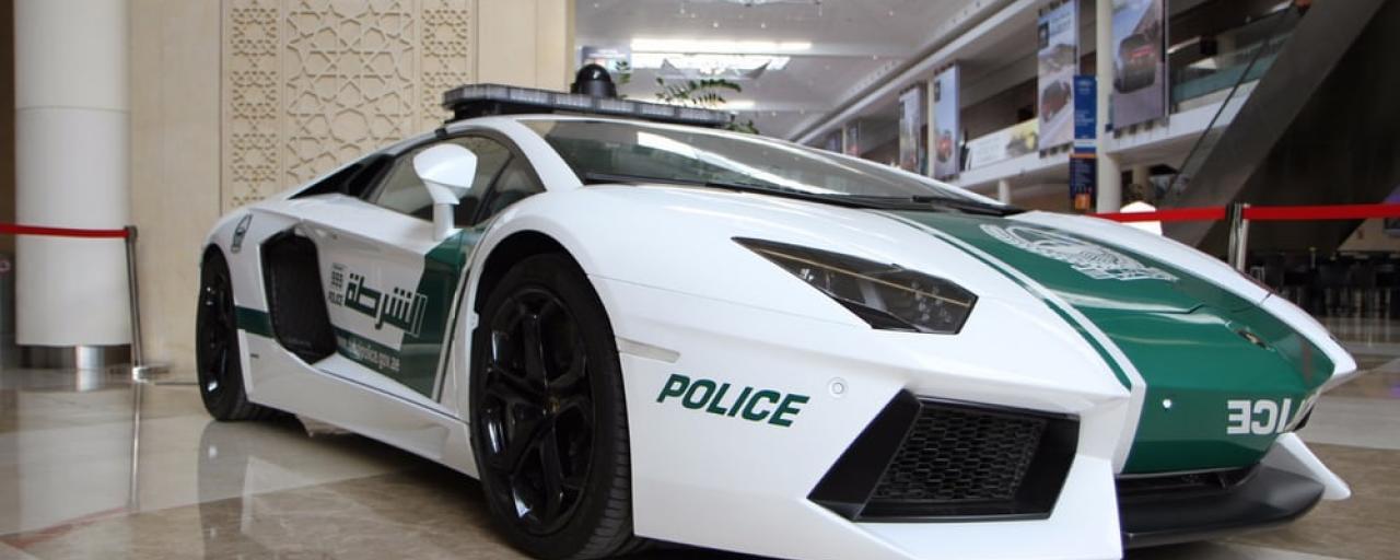 dubai-crime-prediction-1
